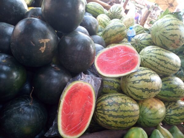 Watermelon Small - Image 3