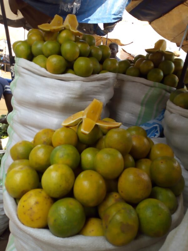 Local Oranges 1kg - Image 3