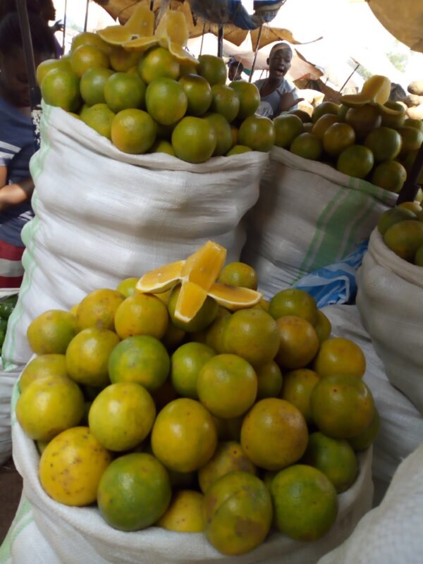 Local Oranges 1kg - Image 2