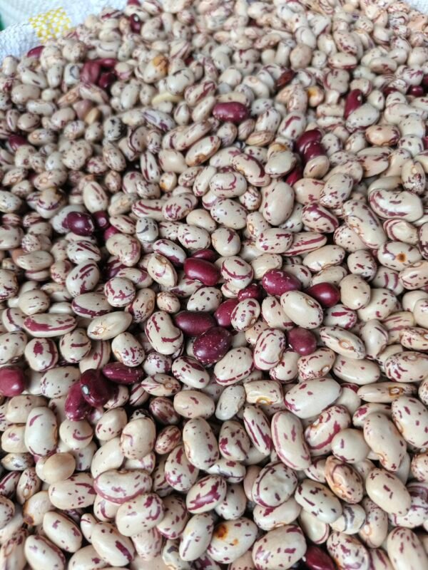 Beans  dry masavu 1kg - Image 5