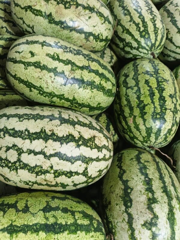 Watermelon Small - Image 2