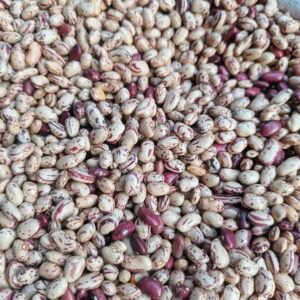 Beans  dry masavu 1kg