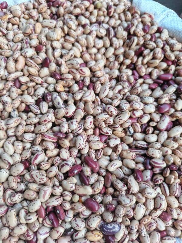 Beans  dry masavu 1kg