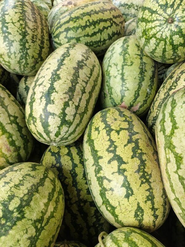 Watermelon Small - Image 4