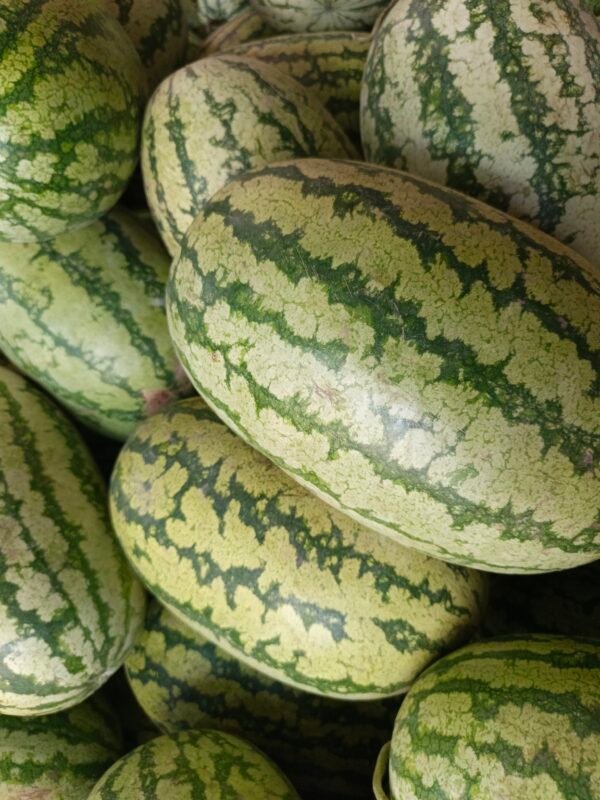 Watermelon Small - Image 7