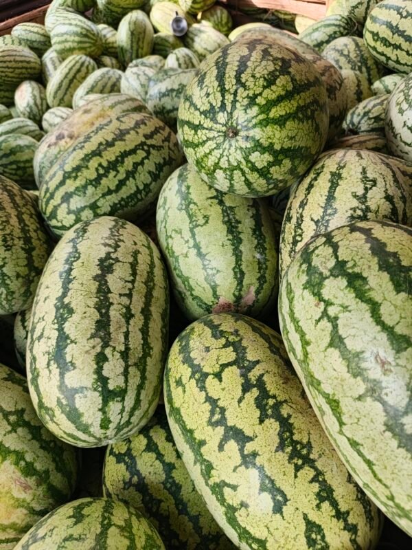 Watermelon Small - Image 5