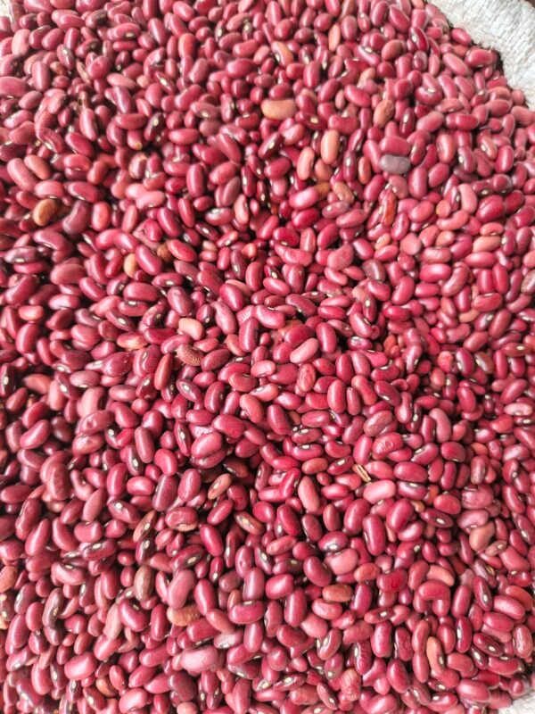 Beans dry Red 1kg - Image 2