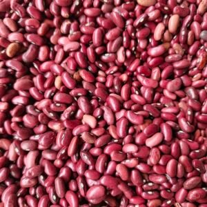 Beans dry Red 1kg