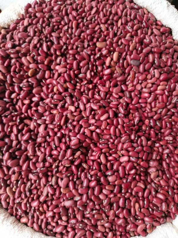 Beans dry Red 1kg - Image 4