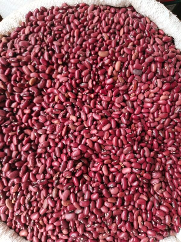 Beans dry Red 1kg - Image 3