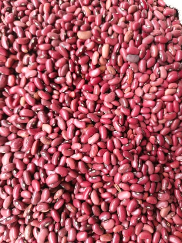 Beans dry Red 1kg - Image 6