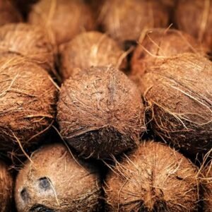 Coconut