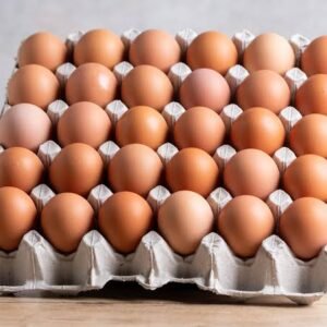 Eggs tray 1tray