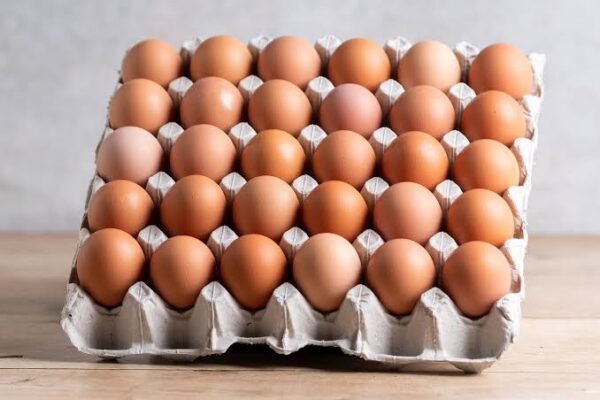 Eggs tray 1tray