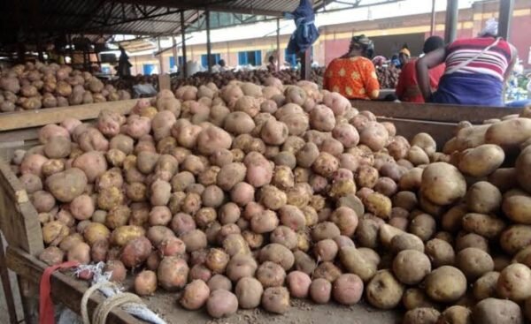 Irish potatoes small basket - Image 3