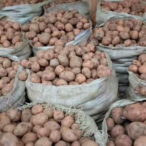 Irish potatoes full sack