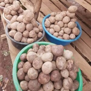 Irish potatoes small basket