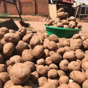Irish potatoes medium basket