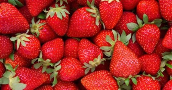 Strawberries 1 packet - Image 3