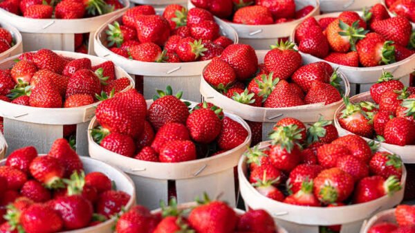 Strawberries 1 packet - Image 2