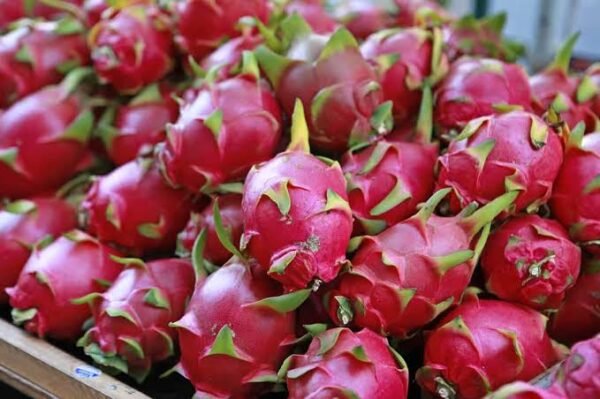 Dragon fruit 1pc - Image 3