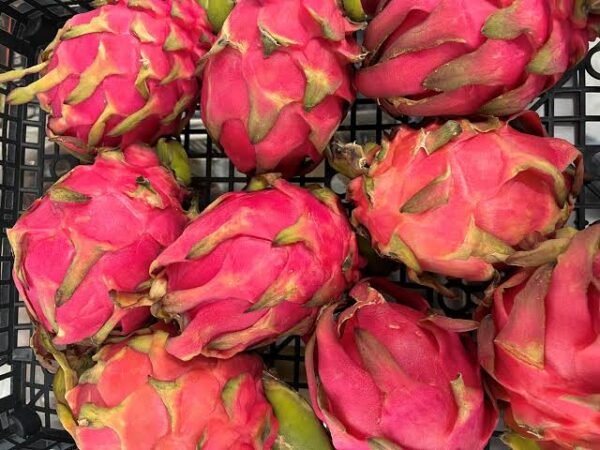 Dragon fruit 1pc - Image 4