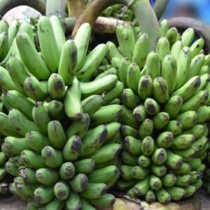 Matooke small