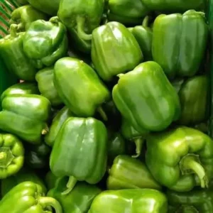 Green peppers 6Pcs
