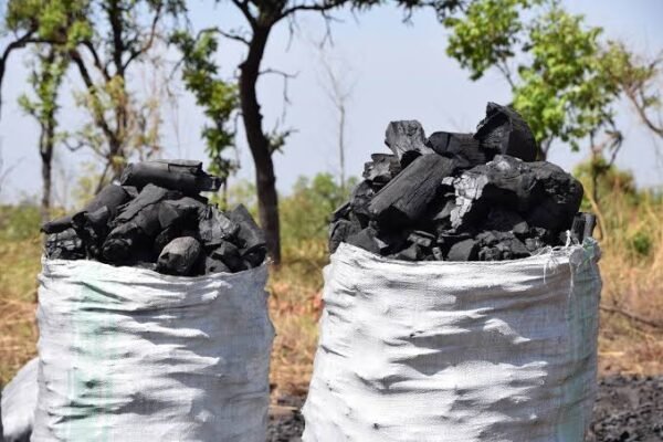 Charcoal full sack