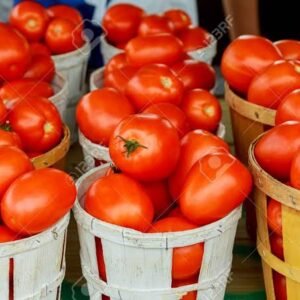 Tomatoes Small Busket