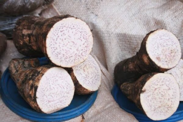 Yams big - Image 4