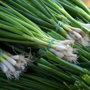 Spring onions  Bundle