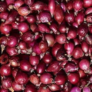 Onions Medium Buskets