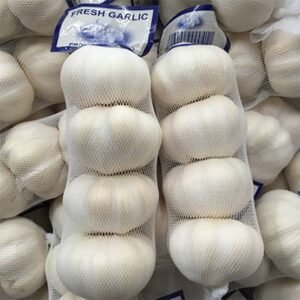 Imported Garlic 1 pc