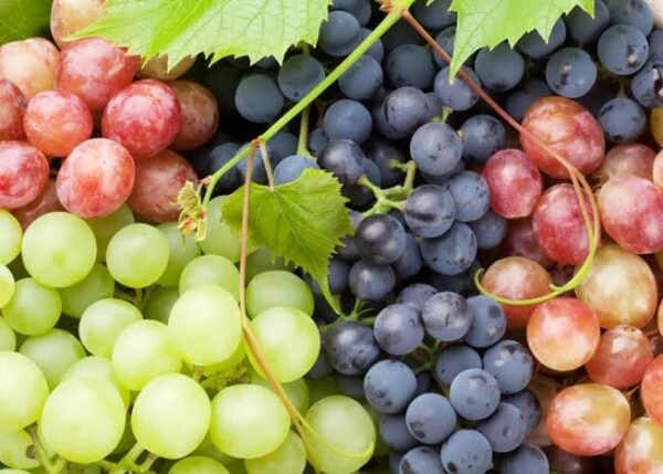 Grapes 1 packet