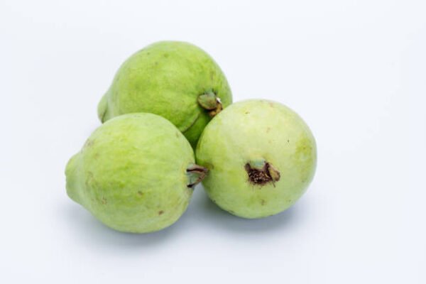Guava 1pc