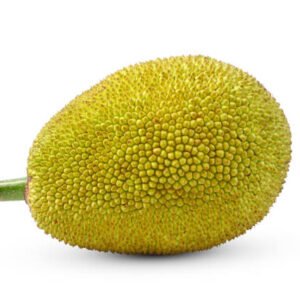 Jackfruit big