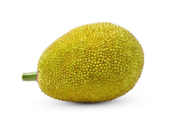 Jackfruit small