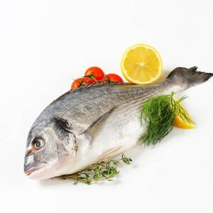 Fresh Fish small