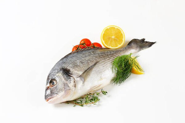 Fresh Fish small