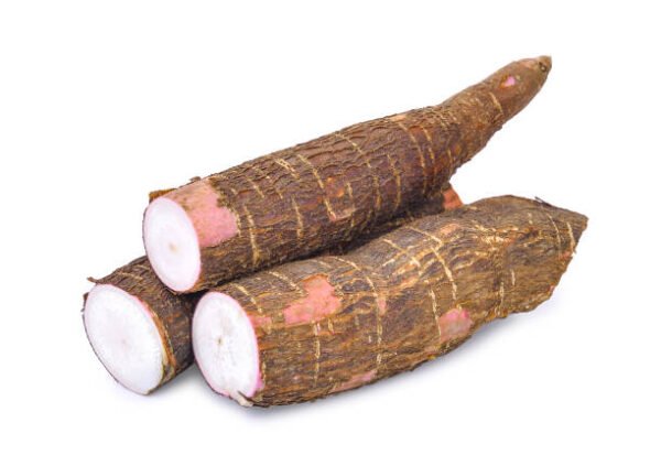Cassava big