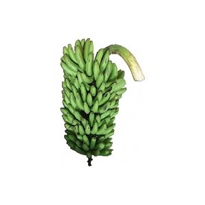 Matooke Medium