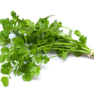 Parsley Bundle